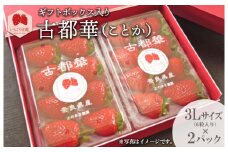 【奈良県知事賞受賞】ギフトボックス入り古都華（ことか）3Lサイズ（6粒入り）×2パック｜とのあさイチゴ農園 ※2025年1月中旬～5月上旬頃に順次発送予定
