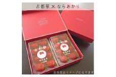 【奈良県知事賞受賞】【食べ比べセット：ギフトボックス】古都華（ことか）1パック・ならあかり1パック｜とのあさイチゴ農園 ※2025年1月中旬～5月上旬頃に順次発送予定