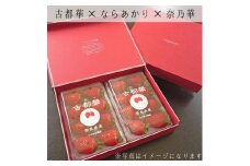 【奈良県知事賞受賞】【食べ比べセット：ギフトボックス】古都華（ことか）2パック・ならあかり1パック・奈乃華1パック｜とのあさイチゴ農園 ※2025年1月中旬～5月上旬頃に順次発送予定