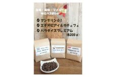 【粉】コーヒー豆 苦味、酸味、マイルド3種味比べセット