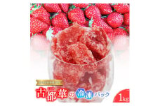 【奈良県知事賞受賞】古都華（ことか）の冷凍パック1kg　とのあさイチゴ農園