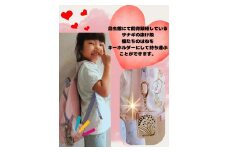 橿原市昆虫館オリジナル 蝶のはね入り・サナギの抜け殻キーホルダー5点セット