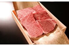 EC-1.大和牛　ロース鉄板焼用 550g
