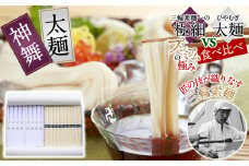 AB-49.【天下分け麺の戦い】極細そうめん神舞 vs 太麺 食べ比べセット　KF-31