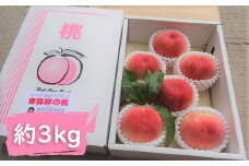 M-AD20.【7月中旬から発送】あかつき または 清水白桃 約3kg