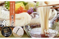 B-44.【つるっとコシある】三輪素麺　三輪の糸　100束　(C-90)
