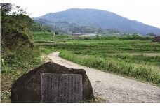 CH-4.【記紀万葉ふるさと巡り】観光ツアータクシー　山の辺の道コース（2時間利用）