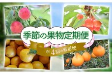 M-EF6.【年4回 季節の果物をお届け】 季節の果物 定期便