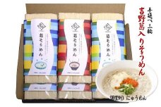 AD-26.【手延べ三輪】吉野葛入りそうめん