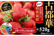 M-AF32.【5月～6月上旬発送】減農薬いちご「古都華」2パック 特別栽培農産物