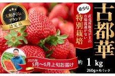 M-BH7.【5月～6月上旬発送】減農薬いちご「古都華」4パック 特別栽培農産物