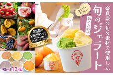 M-AI26.【毎日でも食べたい】旬のジェラート詰め合わせ（12個セット）