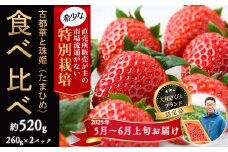 M-AE38.【5月～6月上旬発送】減農薬いちご 「古都華＆珠姫」2パック 食べ比べ 特別栽培農産物