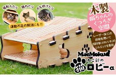 JJB-1.【2月22日は“猫の日” 】maemokuねこ部の「猫ロビーa」　