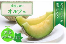 M-A41.【6月〜7月頃発送】特大ネットメロン 1玉 緑肉種「オルフェ」