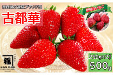 M-AH22.【数量限定】サイズおまかせ 古都華2パック