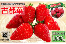 CA-10.【数量限定】サイズおまかせ 古都華4パック