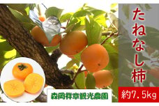 M-AC33. 奈良県桜井産 たねなし柿 約7.5kg