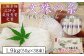 画像はイメージです。