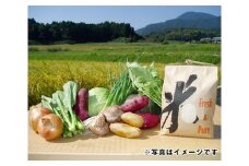 （冷蔵） 冬野菜のおまかせ 8種類 詰め合わせ と お米 （ひのひかり） 3kg セット ／ 奥野ファーム大和 季節野菜 特産品 ヒノヒカリ 精米 旬 奈良県 御所市