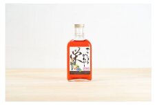 Jリーガー藤嶋栄介×pickles-ya（共同開発） ベリーのビネガードリンク （希釈用） やっしょうびねがー （２本セット） ／ SONAS コラボ商品 ブルーベリー 奈良県 御所市