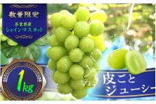 シャインマスカット 約1.0kg ／ フルーツ 果物 数量限定 皮ごと 奈良県 御所市
