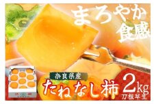刀根早生柿 約2kg ／ 奈良県農業協同組合 フルーツ かき 果物  種無し 奈良県 御所市