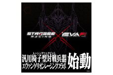 STRASSE RCZ01 TYPE EVA RACING レーシングコックピット シート付 ／ コスティック エヴァンゲリオン エヴァ コラボ 初号機モデル 公式ライセンス商品 奈良県 御所市