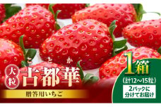 【2026年1月上旬～2月下旬発送】贈答用いちご【数量限定】『古都華』 いちご 数量限定 古都華 12～15粒 化粧箱 国産 国産苺 ストロベリー 果物 果実的野菜 フルーツ デザート おやつ 糖度 濃厚 香り 鮮やか 甘い ビタミン 奈良県産 お取り寄せ 贈答用 送料無料