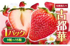 【2026年1月～3月上旬発送】「古都華」化粧箱入りいちご 甘みと酸味のバランスが抜群 古都華 いちご 1パック 9~15粒 化粧箱 生駒いちご園 果物 フルーツ デザート 贈り物 お取り寄せ お取り寄せフルーツ 奈良県 生駒市 送料無料