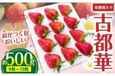 【2026年1月～3月上旬発送】「古都華」化粧箱入りいちご 甘みと酸味のバランスが抜群 古都華 いちご 1パック 9~15粒 化粧箱 生駒いちご園 果物 フルーツ デザート 贈り物 お取り寄せ お取り寄せフルーツ 奈良県 生駒市 送料無料
