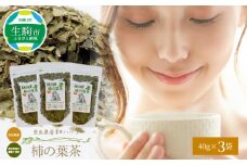 奈良県産柿の葉茶 柿の葉茶 40g × 3袋 国産 健康 健康茶 安心 安全 奈良のうまいもの 茶の術 和ハーブ ハーブ ノンカフェイン ビタミンC 健康志向 飲料 ホット 素朴 飲みやすい 奈良県産 お茶 送料無料