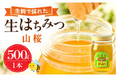 生駒で採れたはちみつ「山桜」 自然の恵みを味わう 国産 生はちみつ 山桜 500g 1本 純粋はちみつ ミツバチ 非加熱 非調合 希少 甘い香り 野生的な力強さ インパクト 食品 瓶 吉岡養蜂園 お取り寄せ 防災 備蓄 奈良県 生駒市 送料無料