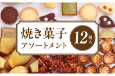 焼き菓子アソートメント12個入り　詰め合わせ フィナンシェ チョコ アールグレイ 抹茶 マドレーヌ ディアマン サブレ コーヒー ガレットブルトンヌ フロランタン クロッカン ヴィエノワ スイーツ 洋菓子 デザート 奈良県 生駒市 送料無料