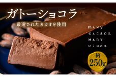 ガトーショコラ  チョコレート チョコ カカオ 濃厚 おやつ スイーツ デザート 洋菓子 贈り物 手土産 プレゼント バレンタイン 冷凍 奈良県 生駒市 送料無料