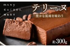 テリーヌ  チョコレート チョコ カカオ 濃厚 おやつ スイーツ デザート 洋菓子 贈り物 手土産 プレゼント バレンタイン 冷凍 奈良県 生駒市 送料無料