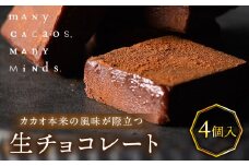 生チョコレート（４個入り） チョコレート 生チョコ 口溶け ソフト クリーミー カカオ おやつ スイーツ デザート 洋菓子 贈り物 手土産 プレゼント バレンタイン 冷凍 奈良県 生駒市 送料無料