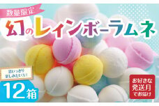 幻の「レインボーラムネ」12箱 【令和7年7月発送】