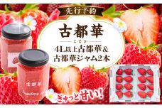 【2026年2月～3月発送】高級いちご「古都華」４L以上２パック＆古都華ジャム2個　先行予約 ことか 甘い 糖度 濃い 濃厚 果汁 朝摘み いちご イチゴ 苺 ジャム フルーツ 果物 果物 ご褒美 ごほうび 贈答 贈り物 ギフト プレゼント 冷蔵 奈良県 生駒市 送料無料