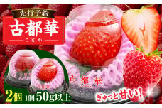 【2026年2月～3月発送】贈答用：高級いちご「古都華」特大6Lサイズ以上2個　先行予約 ことか 甘い 糖度 濃い 濃厚 果汁 濃赤 香り 朝摘み いちご イチゴ 苺 フルーツ 果物 くだもの ご褒美 ごほうび 贈り物 ギフト プレゼント 冷蔵 奈良県 生駒市 送料無料