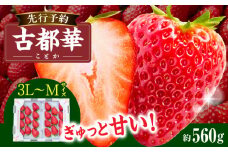 【2026年2月～3月発送】高級いちご「古都華」3L～Mサイズ2パック　先行予約 ことか 甘い 糖度 濃い 濃厚 果汁 香り 朝摘み いちご イチゴ 苺 フルーツ 果物 くだもの ご褒美 ごほうび 贈答 贈り物 ギフト プレゼント 冷蔵 奈良県 生駒市 送料無料