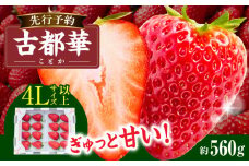【2026年2月～3月発送】高級いちご「古都華」4Lサイズ以上2パック　先行予約 ことか 甘い 糖度 濃い 濃厚 果汁 香り 朝摘み いちご イチゴ 苺 フルーツ 果物 くだもの ご褒美 ごほうび 贈答 贈り物 ギフト プレゼント 冷蔵 奈良県 生駒市 送料無料