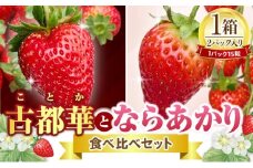 【2026年1月上旬～3月下旬発送】古都華とならあかりの食べ比べセット　1パック×2(1パック15粒) 化粧箱 国産 国産苺 ストロベリー 果物 果実的野菜 フルーツ デザート おやつ 糖度 濃厚 香り 鮮やか 甘い ビタミン 奈良県産 お取り寄せ 贈答用 送料無料