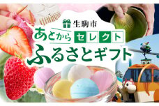 あとからセレクト【ふるさとギフト】6万円 ギフト券 ギフト 券 クーポン ラムネ 編針 お酒 スイーツ 茶筅 お茶 はちみつ アクセサリー 焼菓子 いちご タルト カレー 遊園地 工具箱 食事券 パン サイン だし 生駒市 送料無料