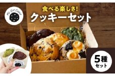 定番人気クッキー5種セット