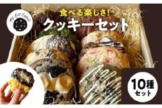 クッキー10種セット