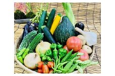 【野菜セット】産地直送！新鮮とれたて旬の野菜 [2004]
