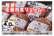 牛タンハンバーグ [150g×24個]＆おまけ 国産牛肉100%ハンバーグ [200g×2個] [2221]