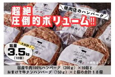 国産牛肉100%ハンバーグ [200g×16個]＆おまけ 牛タンハンバーグ [150g×2個] [2220]