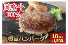 [牛壱] 国産ハンバーグ10個(約1500g) [2251]